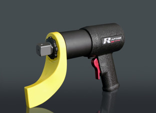 raptor-960-312x225